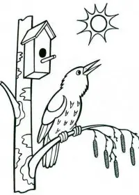 Peisaje Primavara de colorat p3