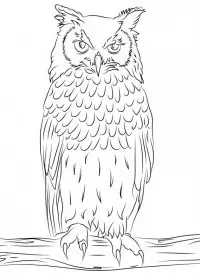 Bufnita de colorat p7