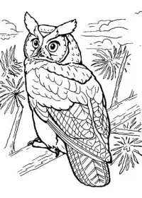 Bufnita de colorat p27