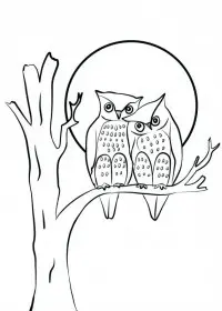 Bufnita de colorat p21