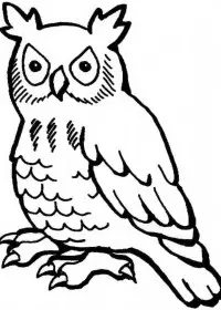 Bufnita de colorat p1