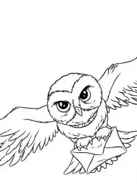 Bufnita de colorat p6