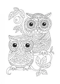 Bufnita de colorat p5