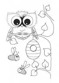 Bufnita de colorat p3