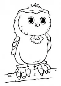 Bufnita de colorat p17