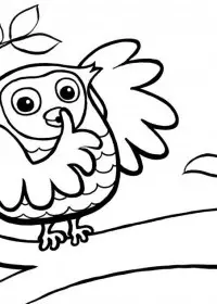 Bufnita de colorat p8