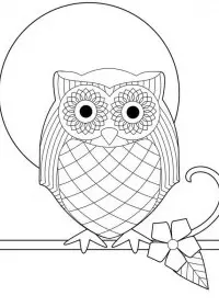 Bufnita de colorat p25