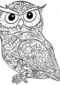 Bufnita de colorat p33