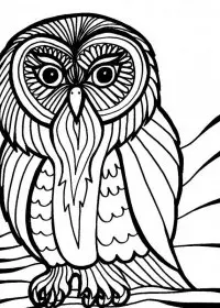 Bufnita de colorat p32