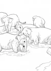 Elefant de colorat p42