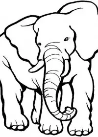 Elefant de colorat p23