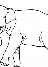 Elefant de colorat p16
