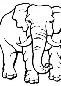 Elefant de colorat p38