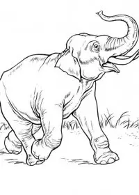 Elefant de colorat p35