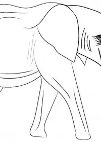 Elefant de colorat p13