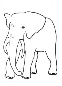 Elefant de colorat p6