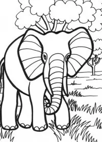 Elefant de colorat p18