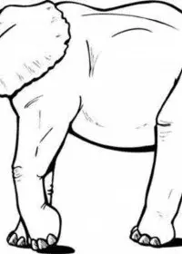 Elefant de colorat p5