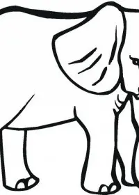 Elefant de colorat p25