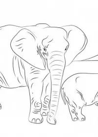 Elefant de colorat p11