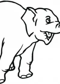 Elefant de colorat p24