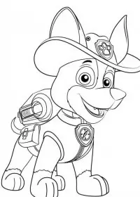 Patrula Catelusi de colorat p33