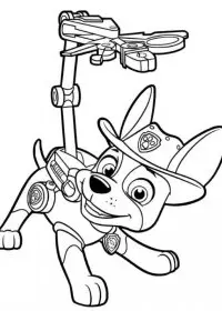 Patrula Catelusi de colorat p11
