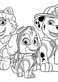Patrula Catelusi de colorat p10
