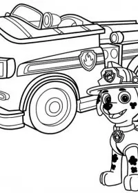 Patrula Catelusi de colorat p36