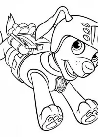 Patrula Catelusi de colorat p48