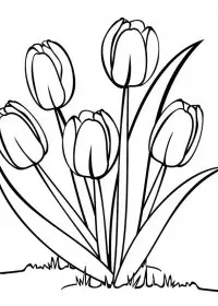 Lalele de colorat p6