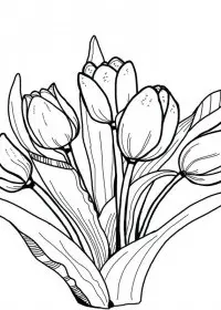 Lalele de colorat p3
