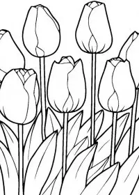 Lalele de colorat p4