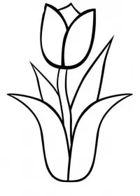 Lalele de colorat p8