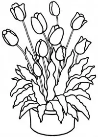 Lalele de colorat p19