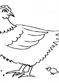 Inghetata de colorat p23