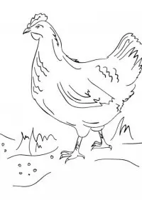 Inghetata de colorat p19