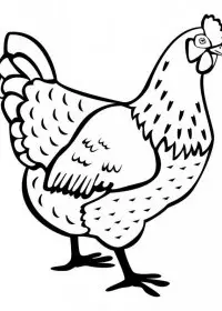 Inghetata de colorat p4