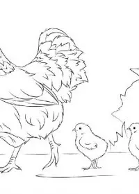 Inghetata de colorat p26