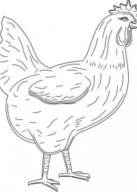 Inghetata de colorat p7