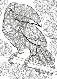 Pentru adulti de colorat p9