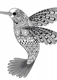 Pentru adulti de colorat p2