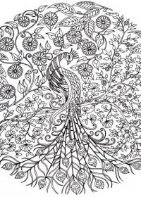 Pentru adulti de colorat p33