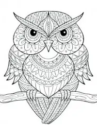 Pentru adulti de colorat p14