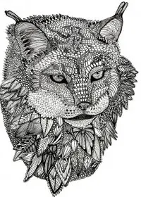 Pentru adulti de colorat p31