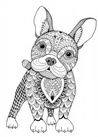 Pentru adulti de colorat p26