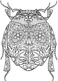 Pentru adulti de colorat p10