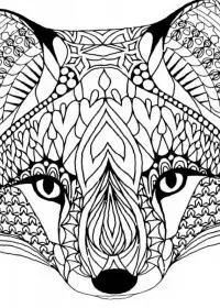 Pentru adulti de colorat p47