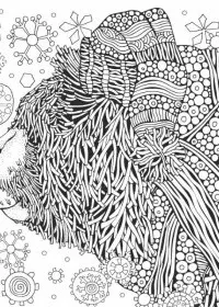 Pentru adulti de colorat p57