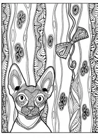 Pentru adulti de colorat p4